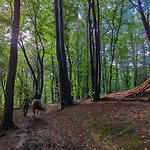 بيت للعطل Klavertje 4