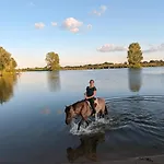 بيت للعطل Klavertje 4 *