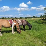 Klavertje 4 * Middelaar