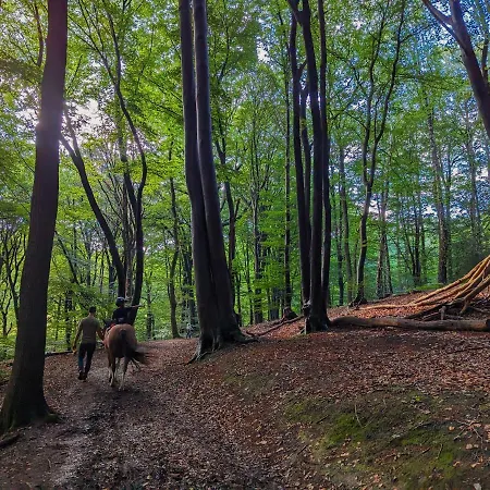 Ferienhaus Klavertje 4