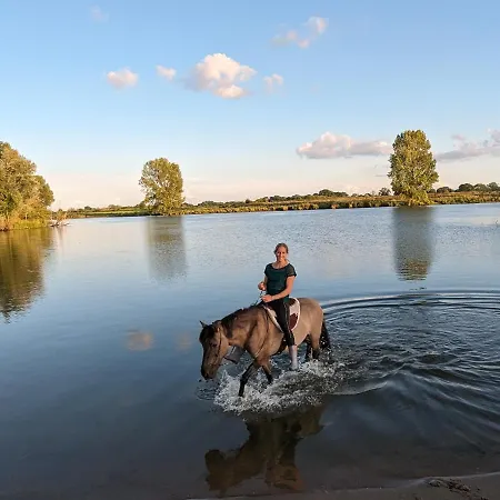Ferienhaus Klavertje 4 *