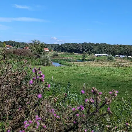 Klavertje 4 Middelaar