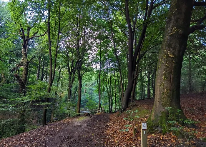 Ferienhaus Klavertje 4 *
