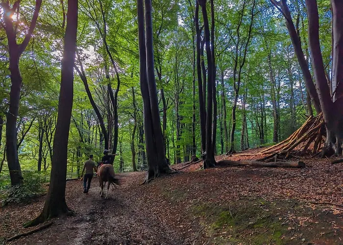 Ferienhaus Klavertje 4