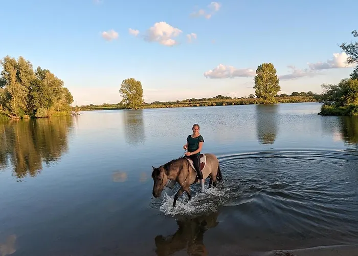 Ferienhaus Klavertje 4 *