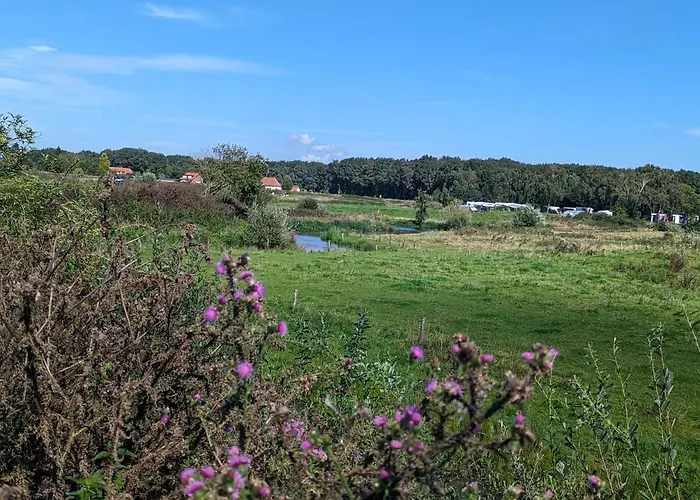 Klavertje 4 Middelaar