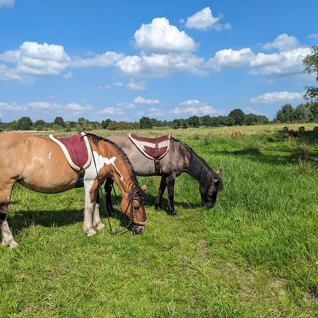 Klavertje 4 * Middelaar